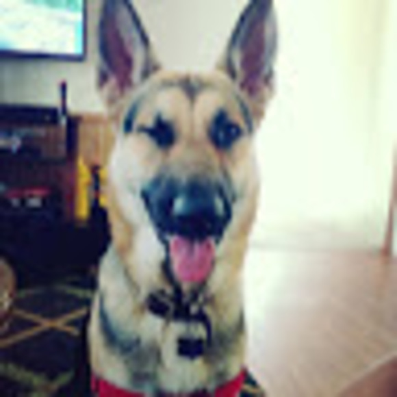 Meet your Posher, Chaka - Picture 1 of 1